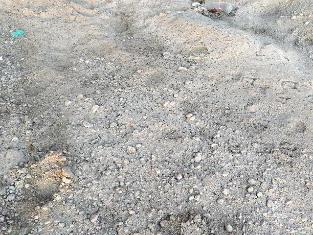 guano