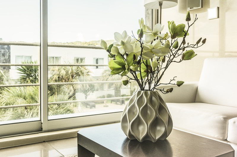 divisão de casa decorada com planta
