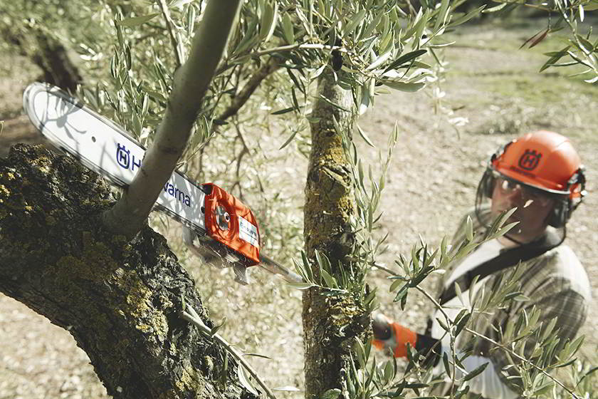podadora de vara Husqvarna em ação