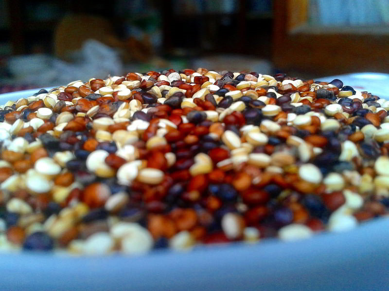 Quinoa