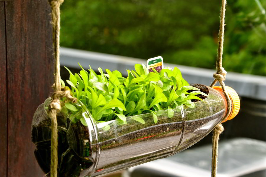 reciclagem de garrafas de plástico com legumes