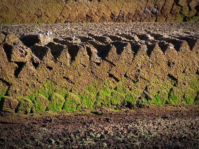 fardos empilhados de turfa