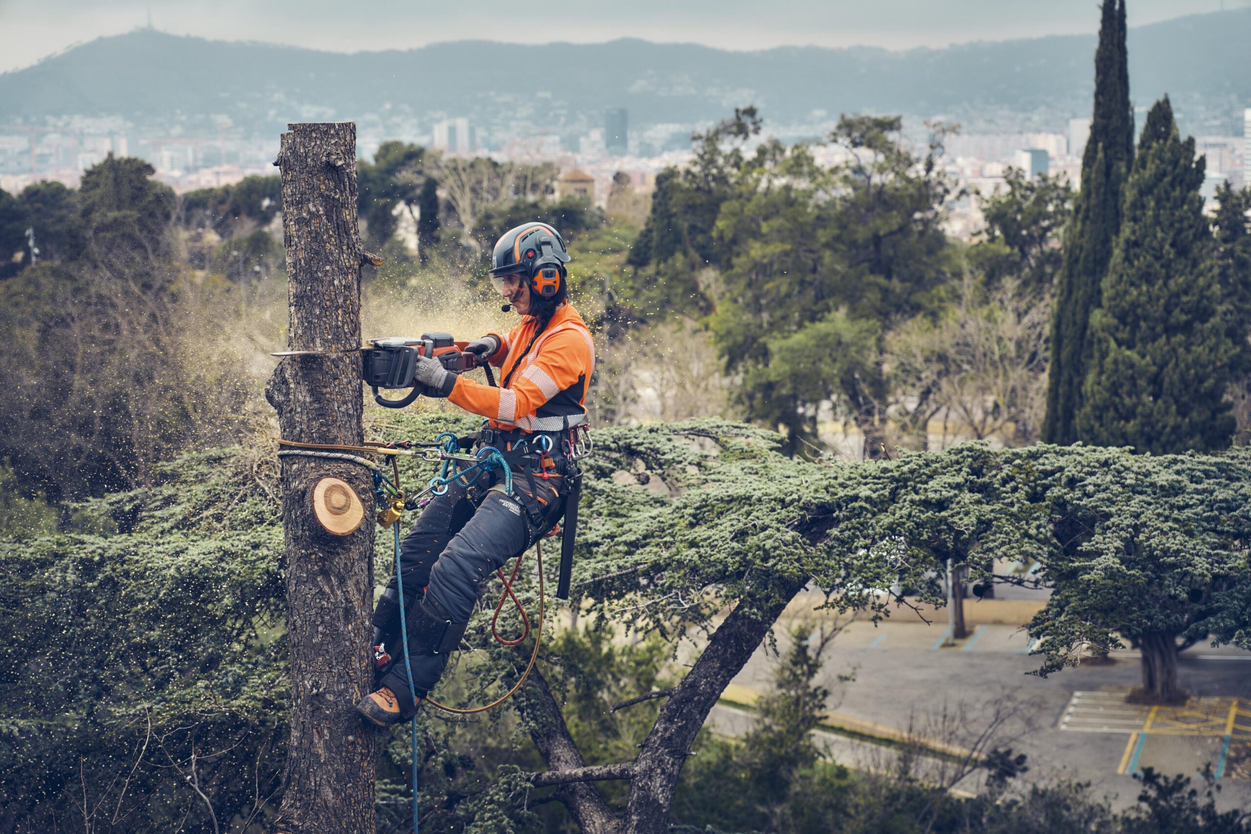 É motosserrista profissional? Fique a saber o que exige a lei para usar a sua motosserra em Portugal.